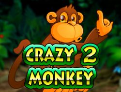 Crazy Monkey 2