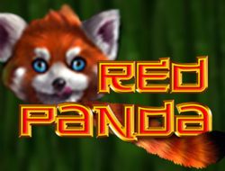 Red Panda