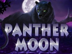 Игровой автомат Panther Moon