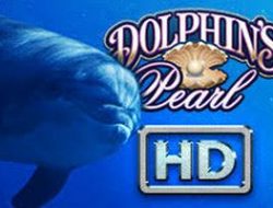 Dolphins Pearl HD