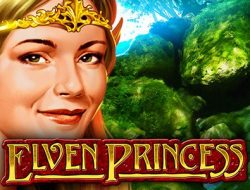 Игровой автомат Elven Princesses