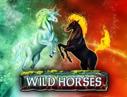 Игровой автомат Wild Horses